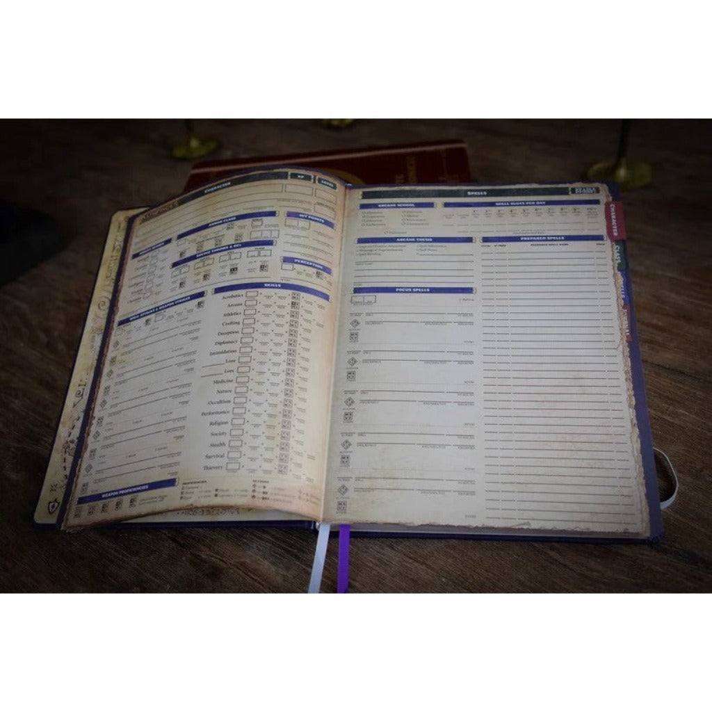 Beadle & Grimm's Pathfinder: Complete Rogue Chronicle Pathfinder Paizo Publishing   