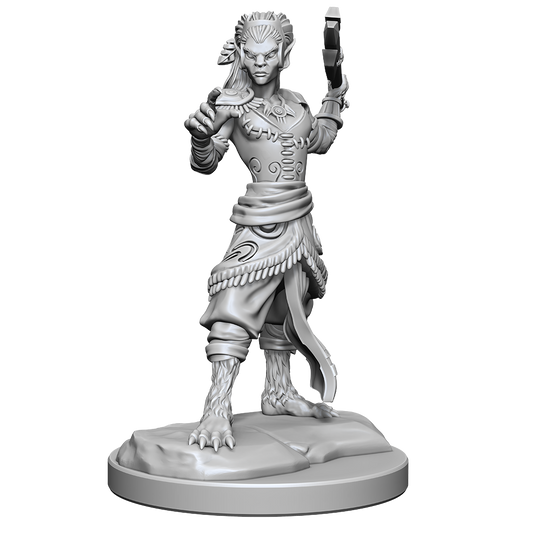 D&D Nolzurs Marvelous Miniatures Shifter Fighter Dungeons & Dragons Wizards of the Coast Default Title  