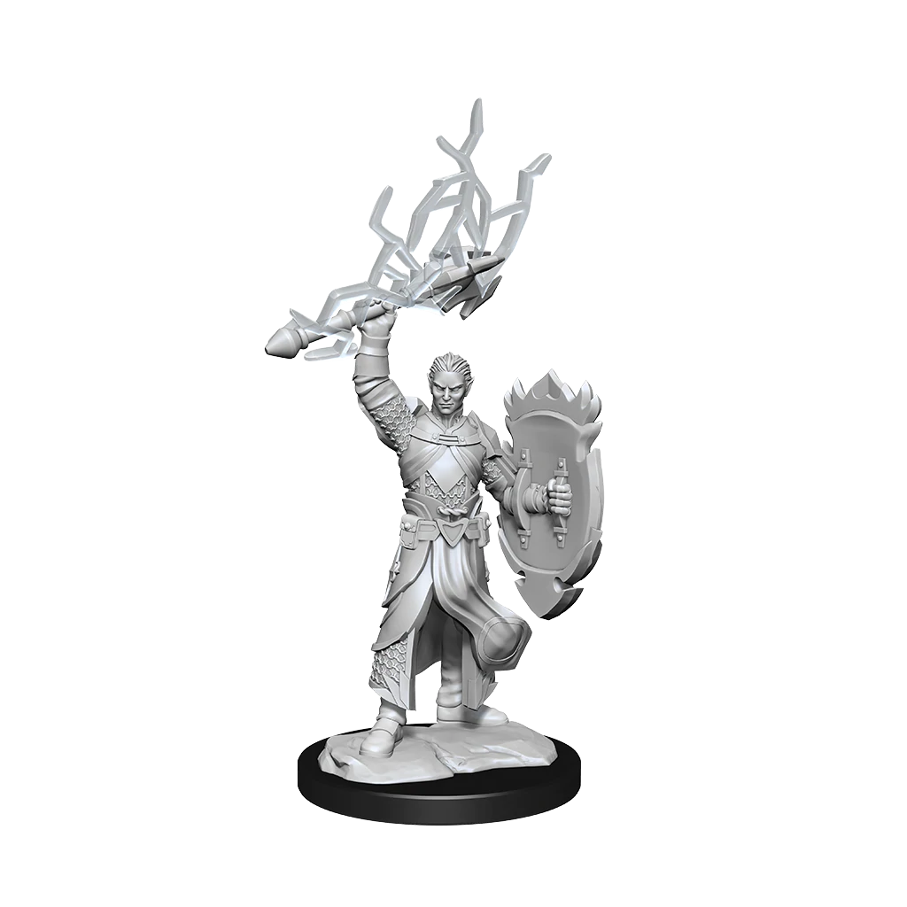 D&D Nolzurs Marvelous Unpainted Miniatures Half-Elf Paladin Male Dungeons & Dragons WizKids   
