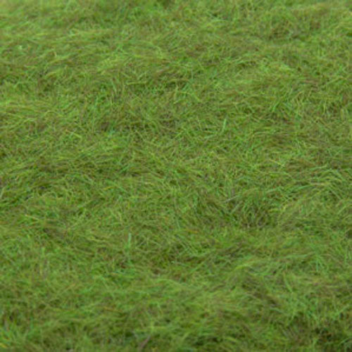Ground Up Scenery - Static Grass Daintree Green 3mm 50g Ground Up Scenery Ground Up Scenery Default Title  