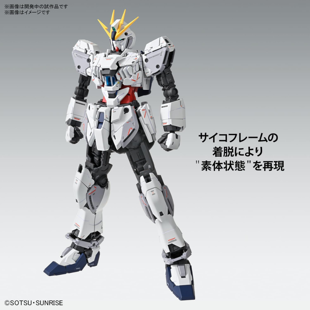 MG 1/100 NARRATIVE GUNDAM C-PACKS VER.KA Gundam Model Kit Bandai   