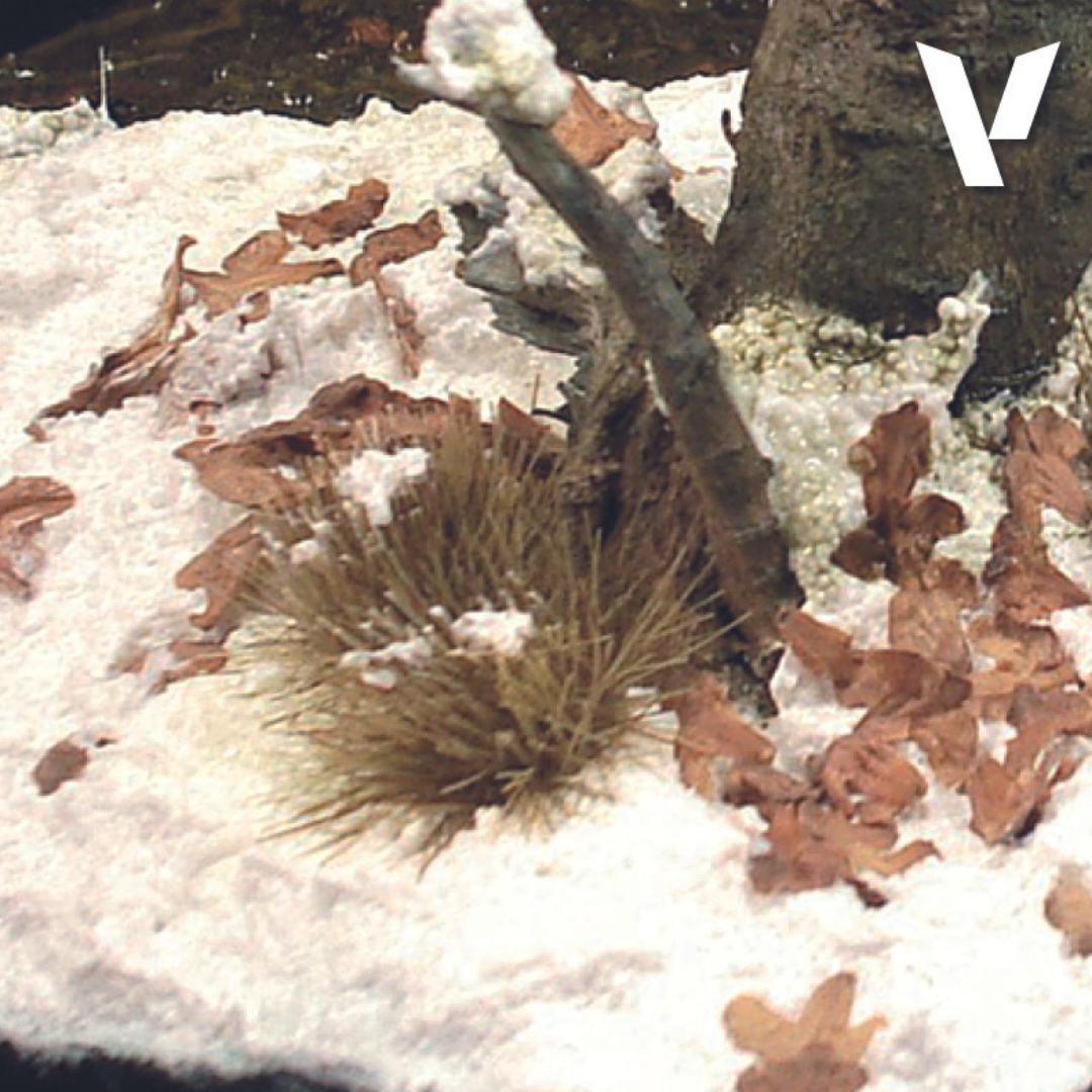 26.820 Vallejo Diorama FX - Snow 200ml Vallejo Diorama FX Vallejo   