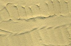 Earth Texture: Desert Sand Paint/Model Supplies Vallejo   