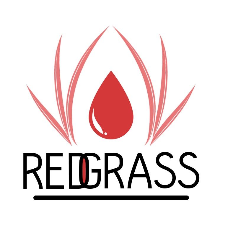 Redgrass Painter V1 Orange Reusable Membranes for Everlasting Wet Palette Tools & Materials redgrass   